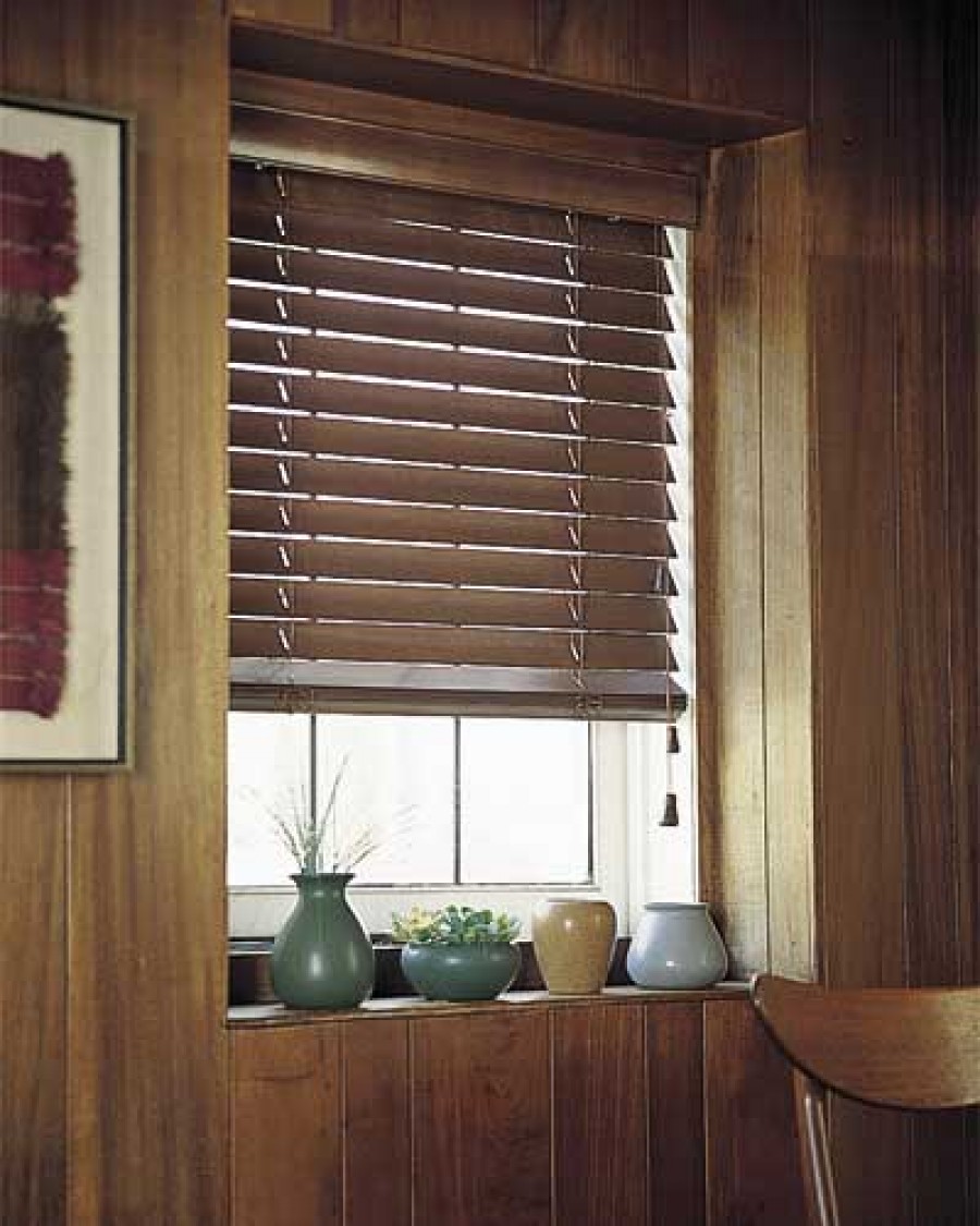 flying super squirrel