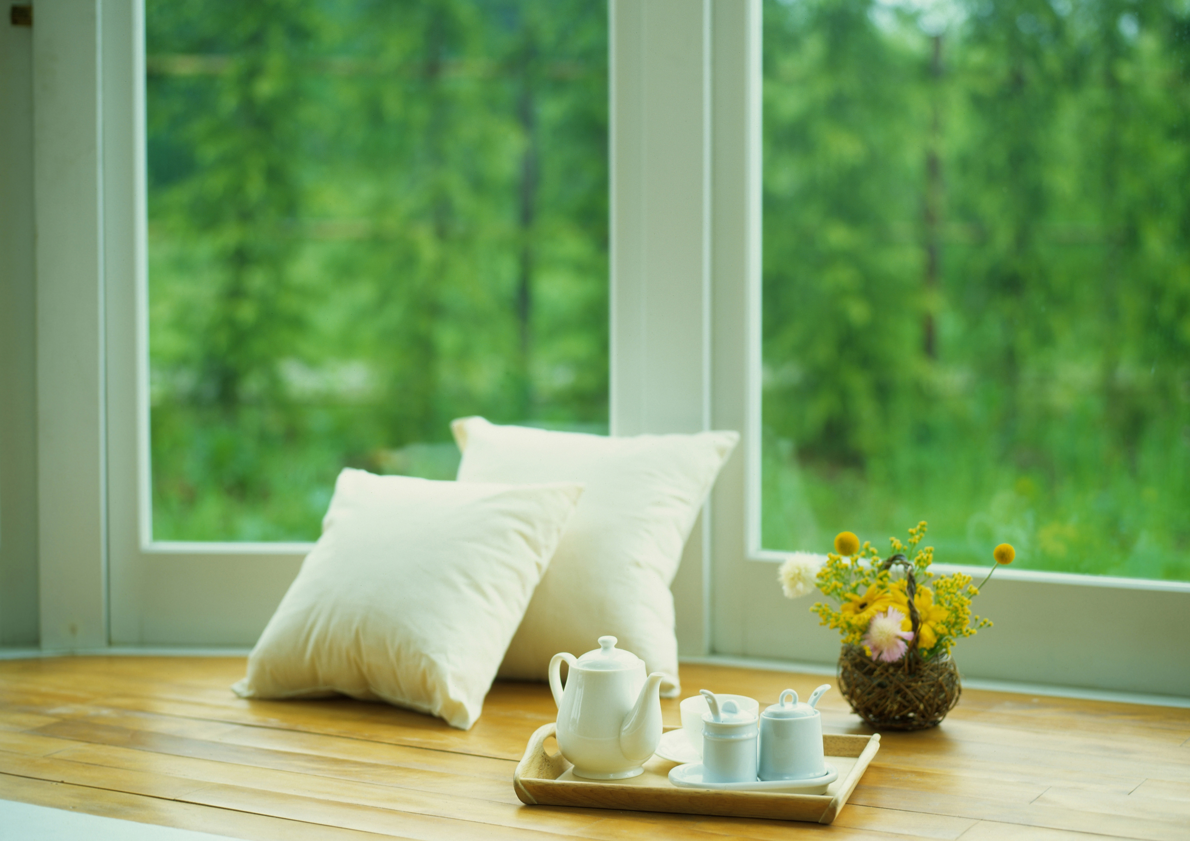 flying super squirrel